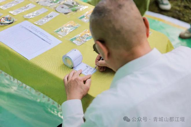 都江堰太火爆NPC白娘子被求合影到宕机j9九游会登录顶流实锤！这个五一青城山(图4)